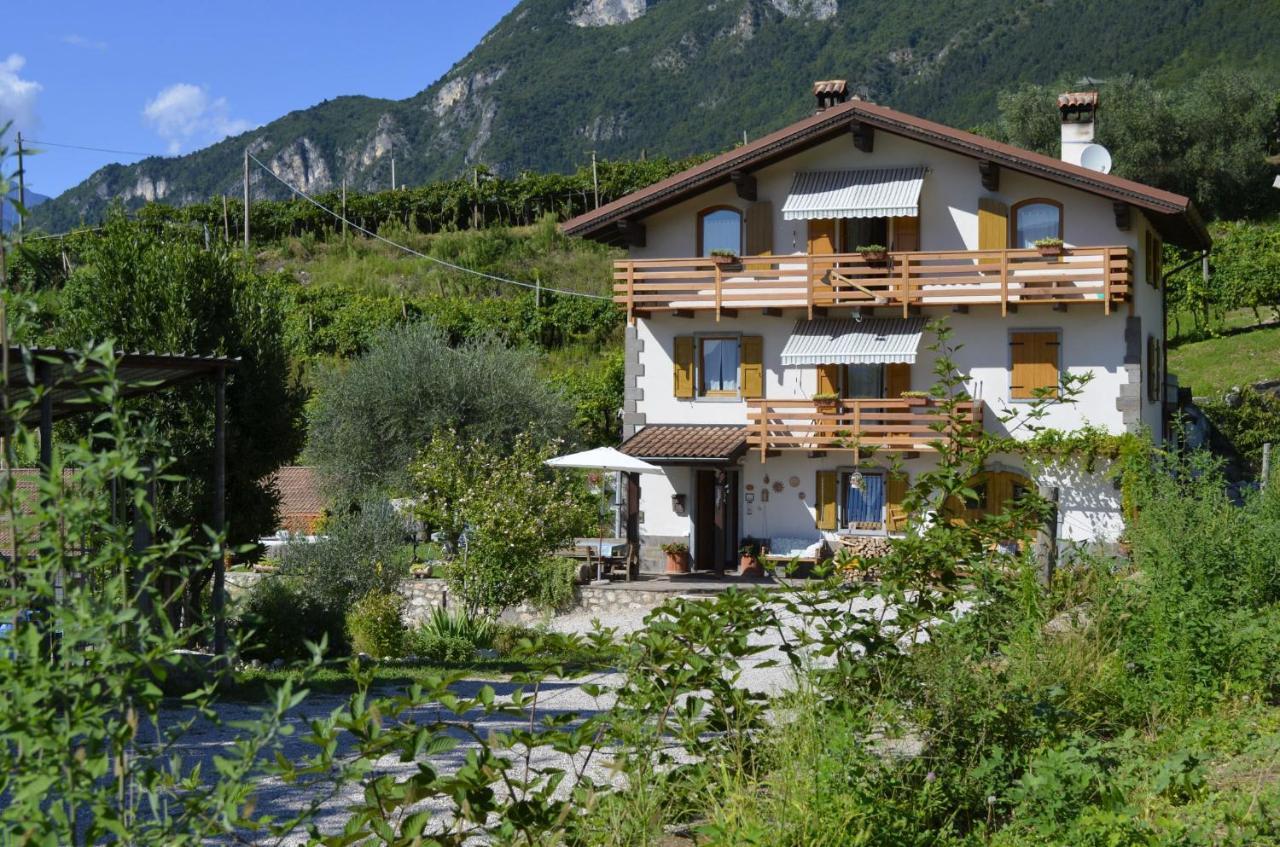 Ca Ulivi Bed & Breakfast Ala Exterior photo